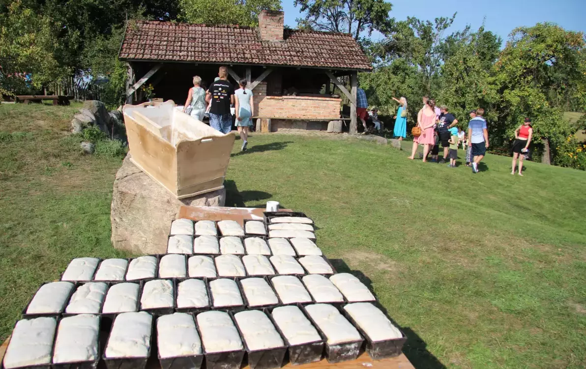 Zdjęcie do Świętp Swojskiego Chleba w Piasznie